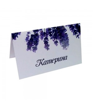 Картка розсадки №22