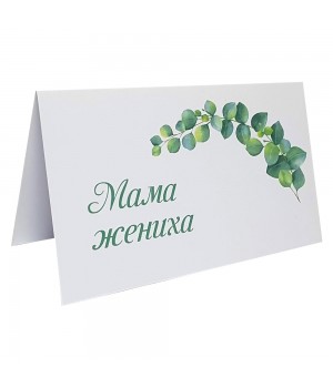 Картка розсадки №43