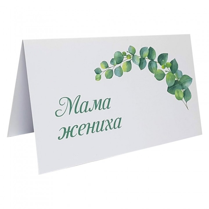 Картка розсадки №43
