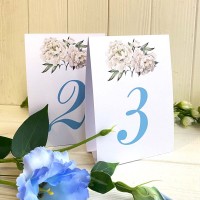 Номер на стіл №26