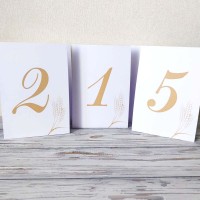 Номер на стіл №31